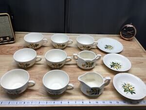 Mount Mt Clemens USA YELLOW ROSE 12 Piece Mixed Replacement set